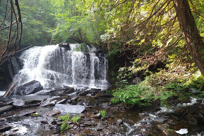 Private 4 Day Algonquin Park Backcountry Canoe Trip - Final Thoughts