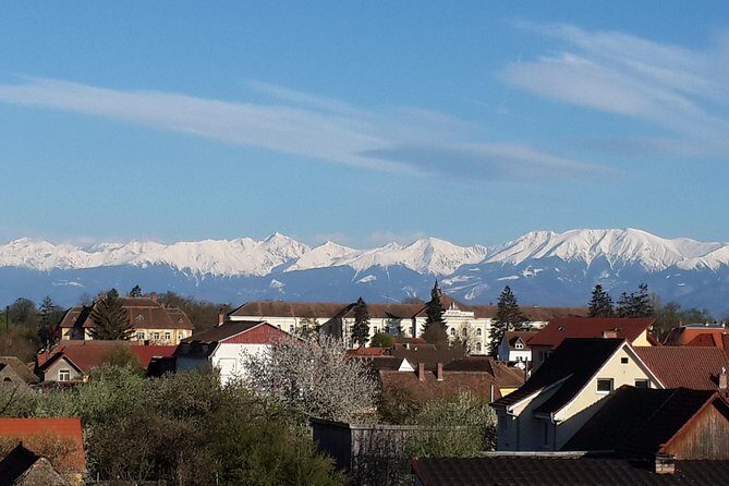 Private 4-Day Tour in Transylvania from Bucharest Hotel Pick-up and Drop off - Who Should Consider This Tour?