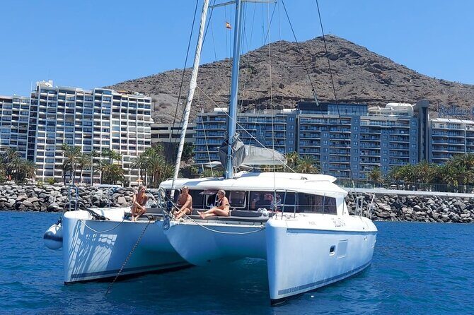 Private 4 hour Catamaran cruise in south coast of Gran Canaria - Key Points