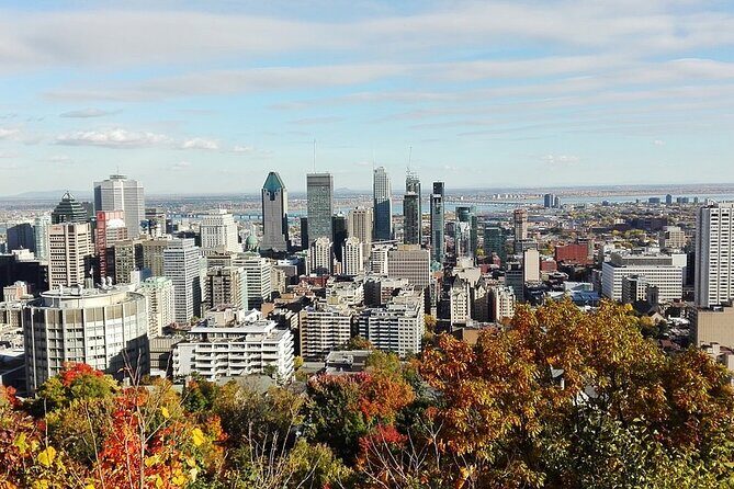 Private 4-hour City Tour of Montreal with driver and guide - Hotel pick up - Why Consider a Private Guided Tour?