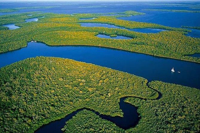 Private 4 Hour Everglades Tour Experience in the Wilderness - Exploring the Private 4 Hour Everglades Tour Experience in the Wilderness