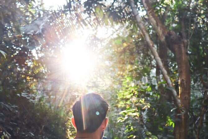 Private 4 hour Hiking Adventure + Breakfast in Nogalito Ecopark - Introduction