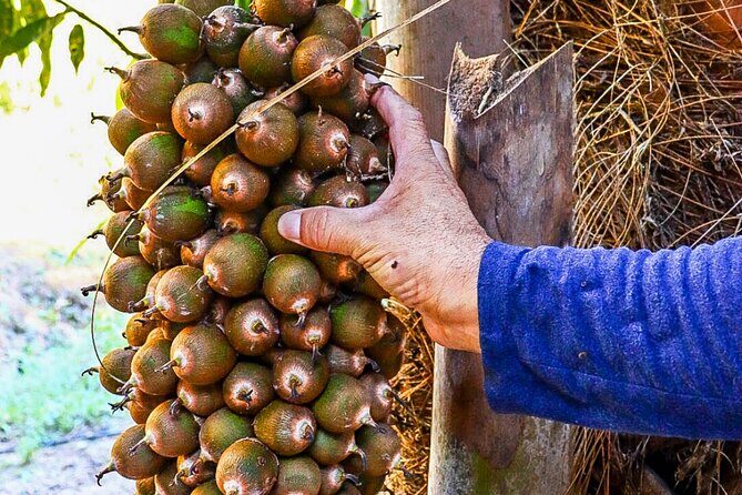 Private 4 hour Hiking Adventure + Breakfast in Nogalito Ecopark - Key Points