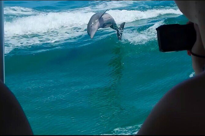 Private 4 Hour Shell Key Island Adventure Dolphins and Shells - The Experience in Practice