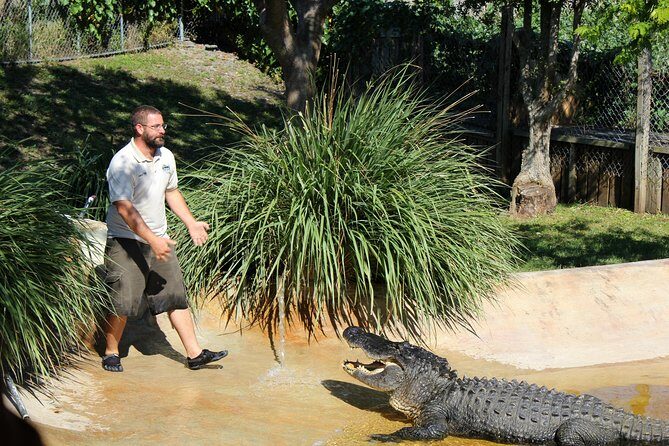 Private 4-hour Tour of Everglades from Miami Dade - What to Expect from the Private Everglades Tour