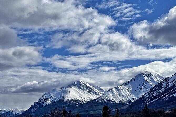 Private 4 Hour tour to White Pass and the Yukon Suspension Bridge - Exploring Skagway’s Natural Beauty and History: A Private 4-Hour Tour to White Pass and the Yukon Suspension Bridge