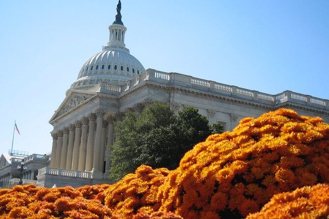Private 4-hour Walking Tour in Washington with official tour guide - FAQ