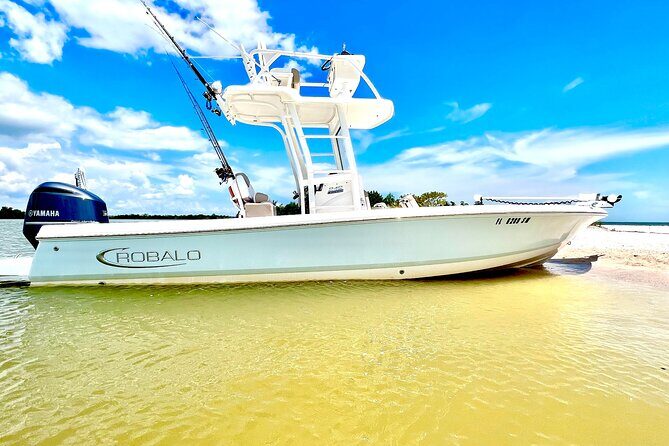 Private 4 HR Eco Tour, Shelling and Fishing, Marco Island FL - An Honest Look at the Experience