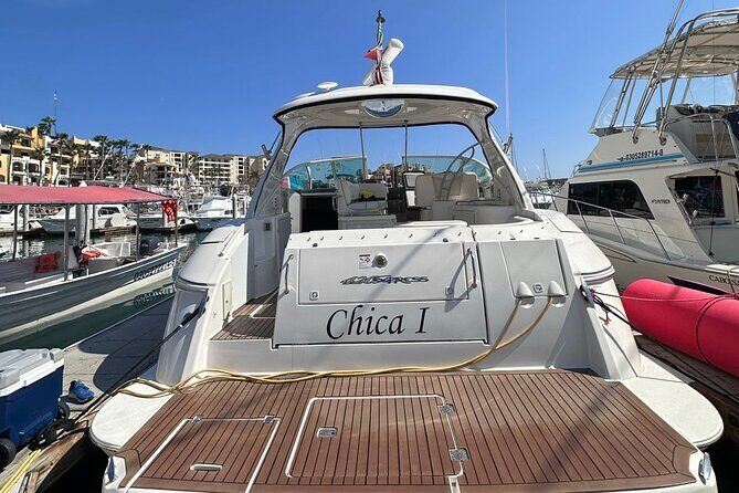 Private 42-foot luxury yacht tour in Los Cabos - The Practical Side: Pricing, Booking, and Comfort