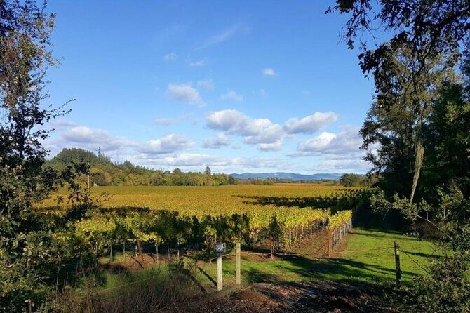 Private 5 day California Vineyards, Waves and Wine Tour - Transportation, Price, and Practicalities