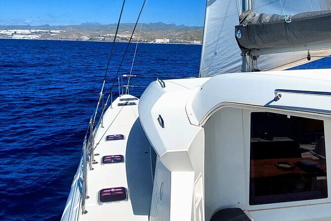 Private 5 hour catamaran cruise in south of Gran Canaria - Who Should Consider This Cruise?
