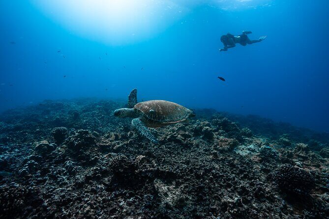 Private 5 Hour Charter on board our yacht in Waikiki - FAQ