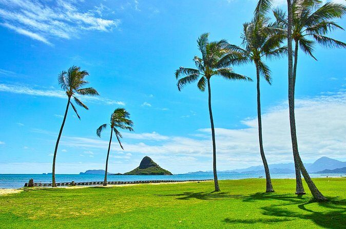 Private 5-Hour Driving Tour of Oahus Highlights - What’s on the Itinerary? A Deep Dive