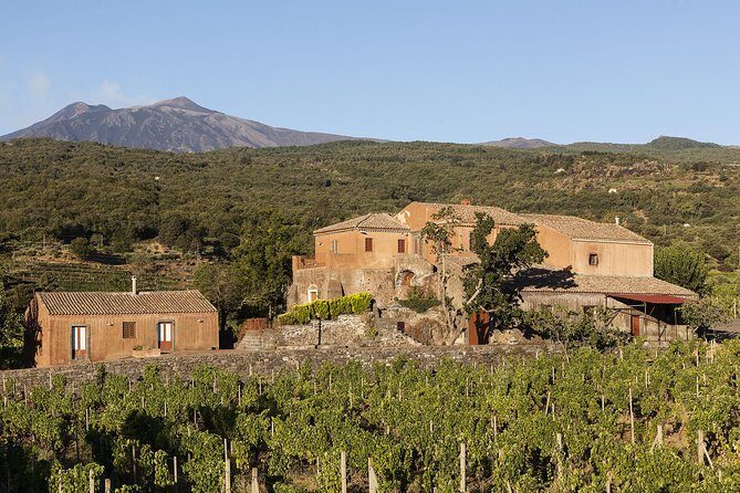 Private 6-Hour Tour of Three Etna Wineries with food&wine tasting - Who Is This Tour Best For?