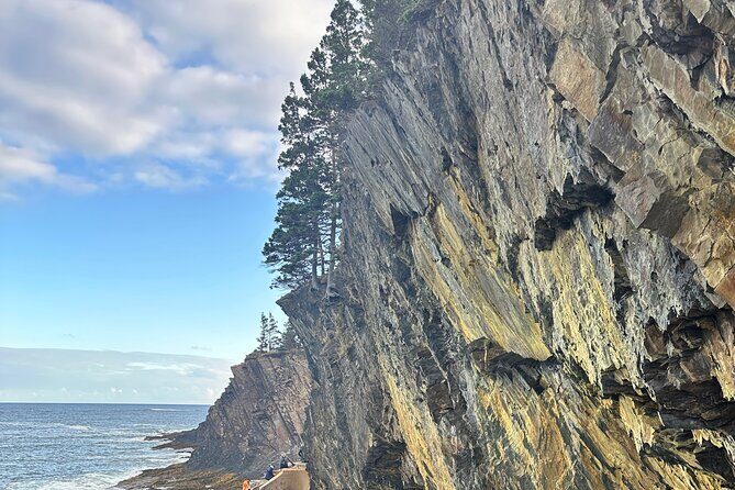 Private 8-Hour Halifax and South Shore Guided Tour - A Closer Look at What the Tour Offers