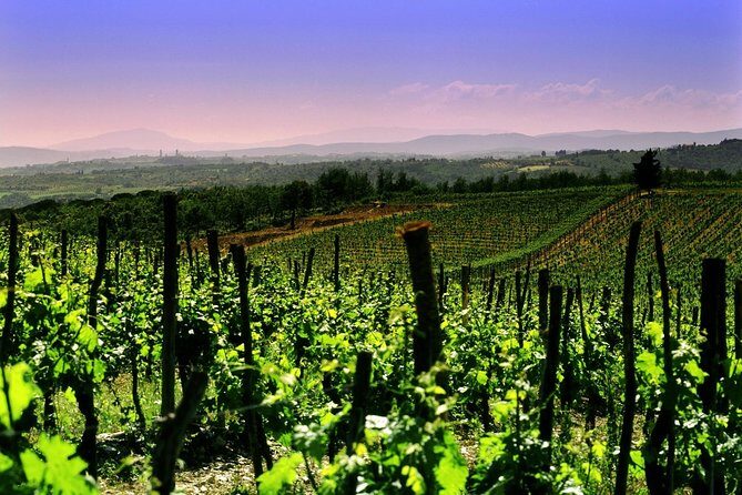 Private 8h Tour to winery in Franciacorta and Bergamo from Milan - The Experience: What You Can Expect