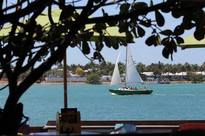 Private 90-Minute Harbor Sailing Charter in Key West - Why We Think This Tour Works Well