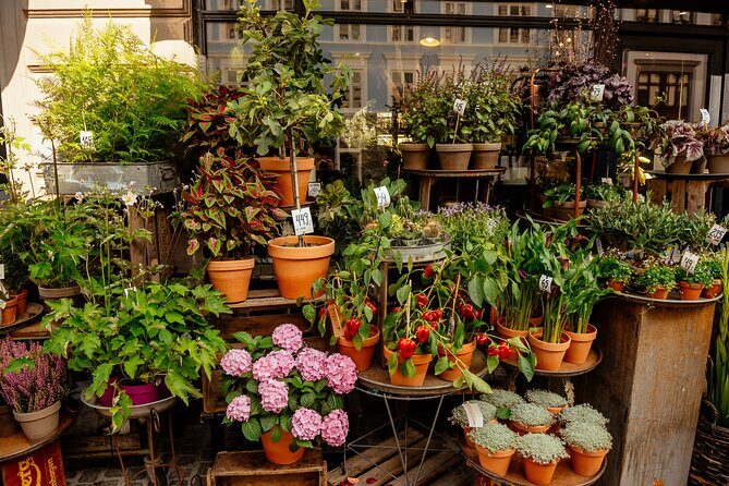 Private 90-Minute Walking Tour in Stockholm - What Makes This Tour Stand Out?