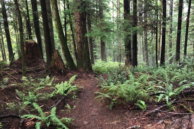 Private Adventure Mountain Biking in Seattle's Eastside - Key Points