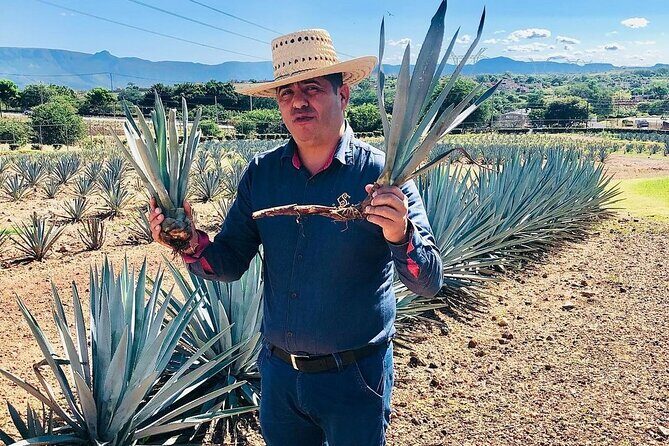 Private Adventure to Casa Sauza Distillery and Visit to Tequila - FAQs