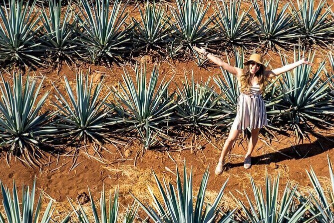 Private Adventure to El Tequileño Distillery and visit to Tequila - Worth Considering: Who Should Book This Tour?