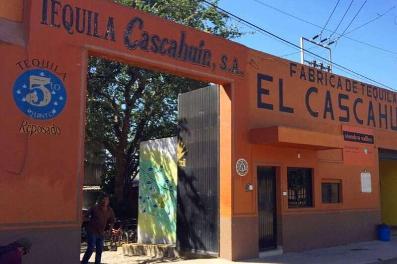 Private Adventure to Tequila and el Cascahuin Distillery - What Makes This Tour Stand Out?