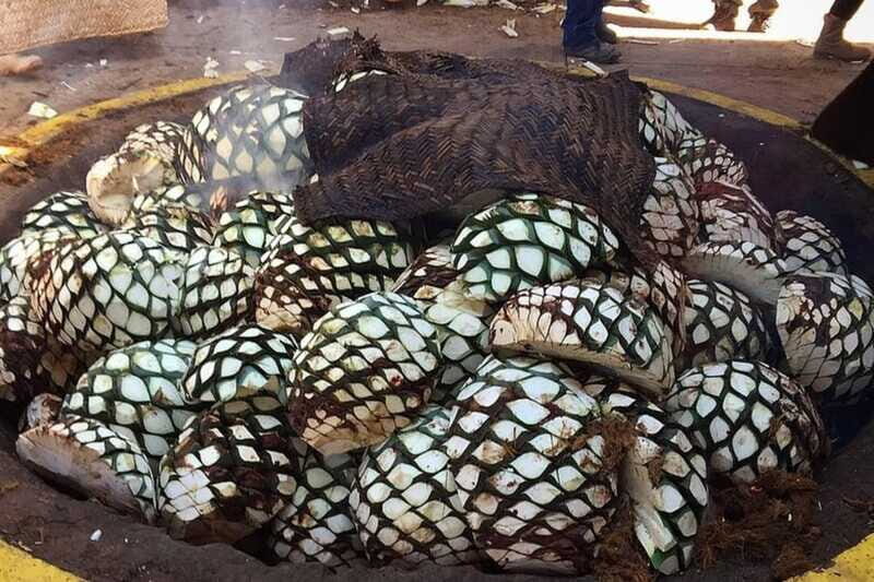 Private Adventure to Tequila and el Cascahuin Distillery - The Value of the Experience