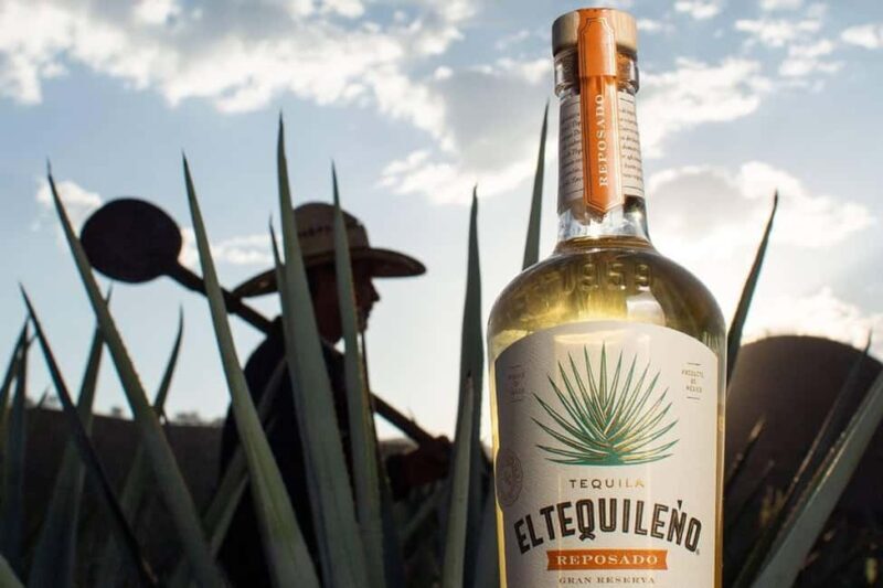 Private Adventure to Tequila and Tequila El Tequileño - Exploring the Highlights of the Private Tequila Tour