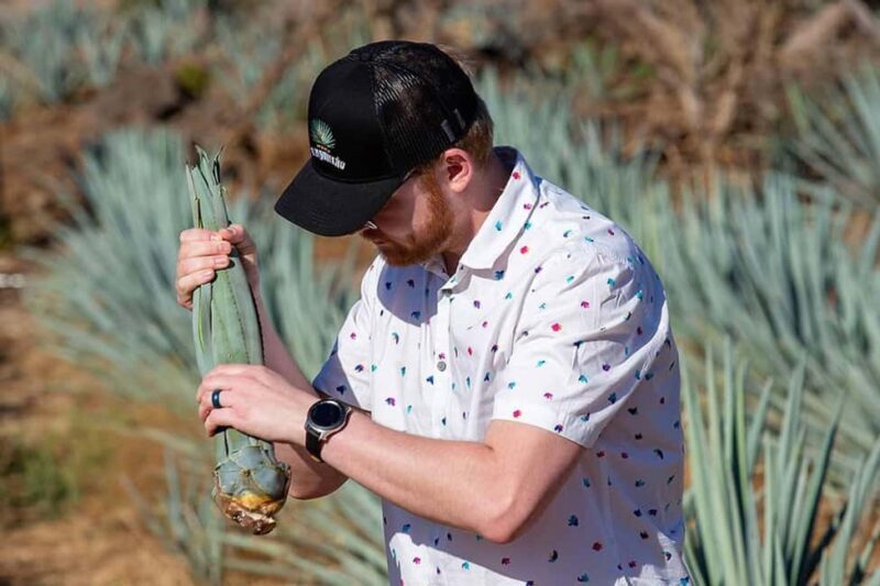 Private Adventure to Tequila and Tequila El Tequileño - Final Thoughts: Who Is This Tour Best For?