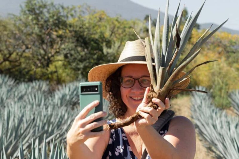 Private Adventure to Tequila and Tequila El Tequileño - FAQ