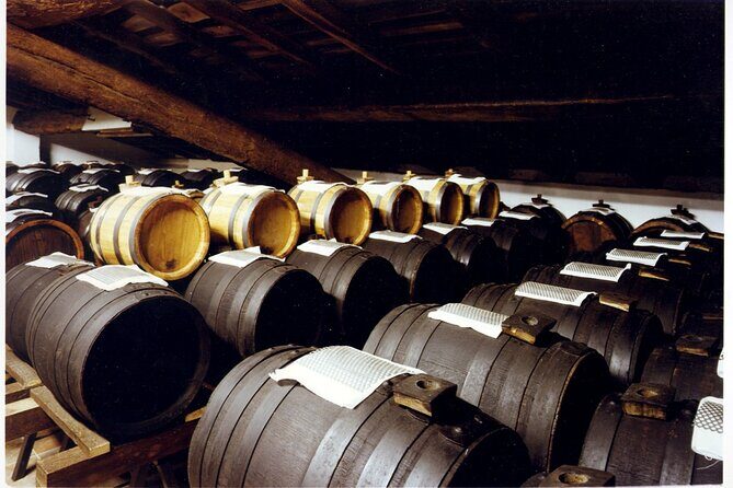 Private Afternoon Tour in Historic Acetaia and Ferrari Museum - Why This Tour Works for Travelers