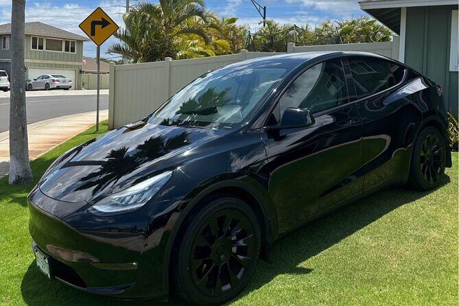 Private Airport Arrivals Rides to Hotel - What to Expect at the Airport and on the Ride