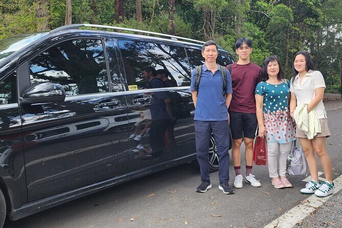 Private Airport Transfer to and From Sydney CBD - Who Will Love This Service?