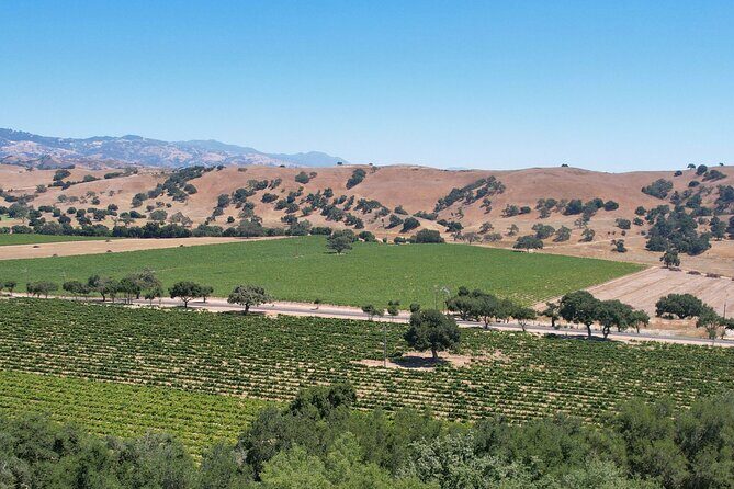 Private All-Inclusive 3-Winery SYV Tour from Santa Barbara - Key Points