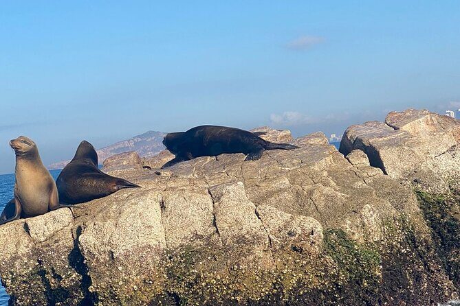 Private All Inclusive Snorkeling Experience in Mazatlan - FAQ