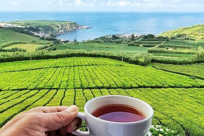 Private - All of Furnas, Tea Plantation, ticket to Beija included - FAQ