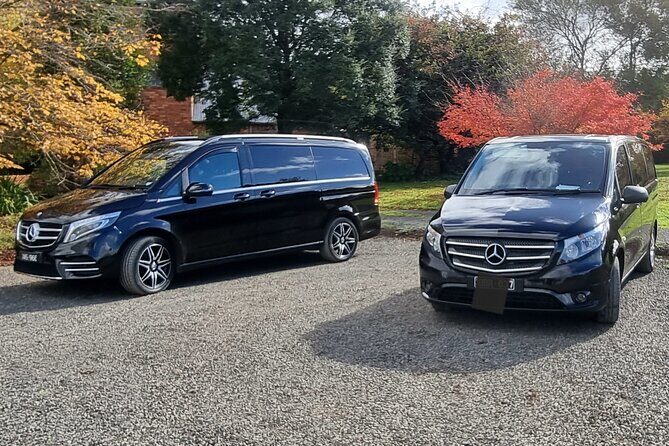 Private and Customised Great Ocean Road and Luxury Tour - What to Expect from the Tour