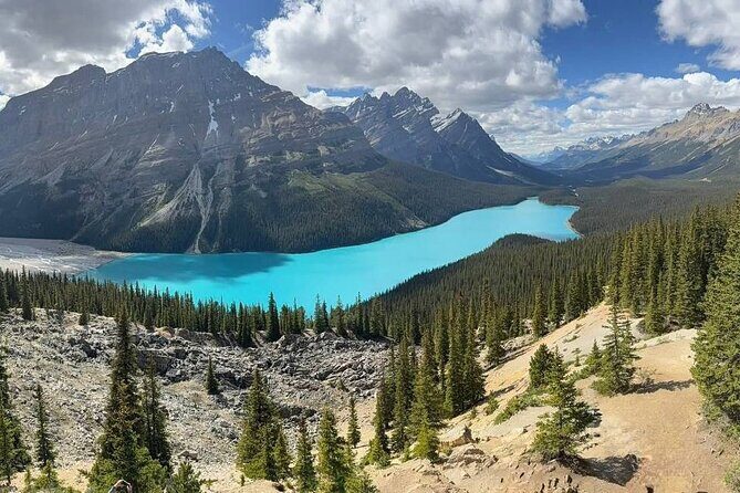 Private and Customizable Transport Airport Pickups and Drop Offs - Real Traveler Insights