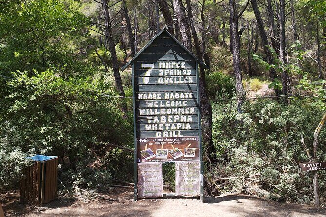 Private and Customized Sightseeing Tour of Rhodes - Who Will This Tour Suit?