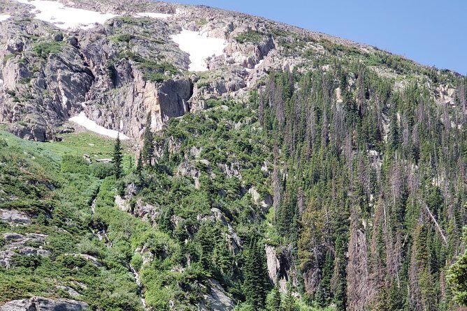 Private and Personalized Three Hour Morning Tour of Rocky Mountain National Park - Key Points