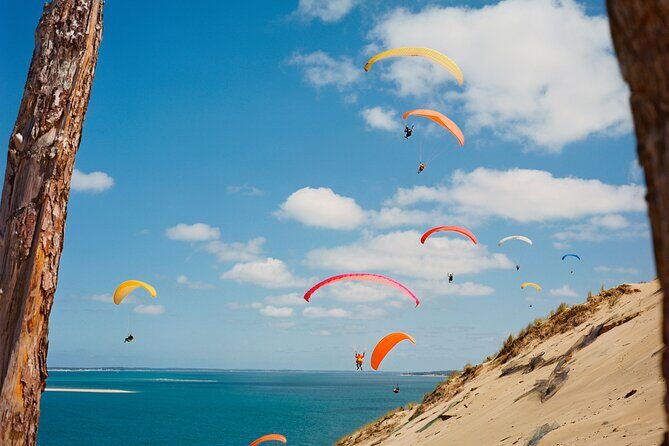Private Arcachon Full-Day tour, from Bordeaux - Climbing the Dune of Pilat