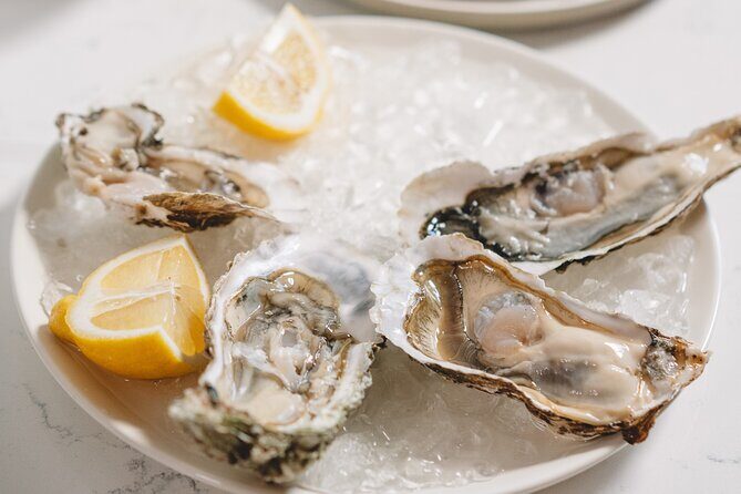 Private Arcachon Full-Day tour, from Bordeaux - Lunch and Free Time in Arcachon