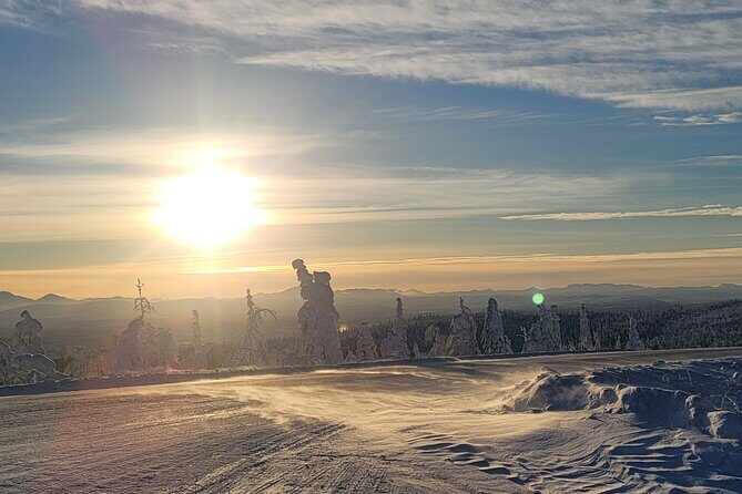 Private Arctic Circle Expedition from Fairbanks - The Adventure Begins: An In-Depth Look at the Itinerary