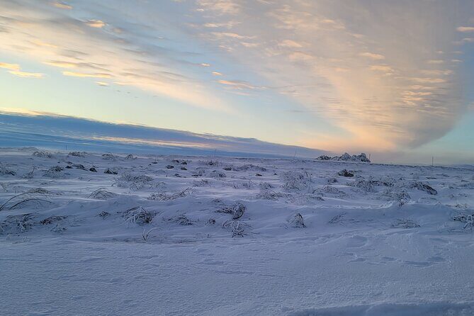 Private Arctic Circle Expedition from Fairbanks - The Real Deal: What Travelers Say