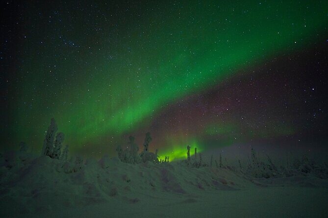 Private Arctic Circle Expedition from Fairbanks - Who Would Love This Experience?