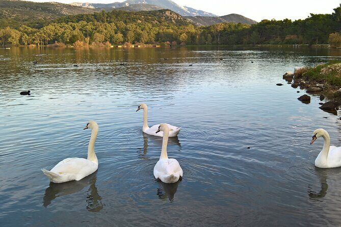 Private Argostoli Walking Experience - Detailed Breakdown of the Tour