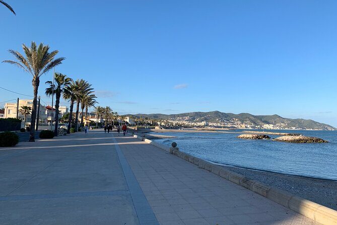 Private Arrival Transfer from Barcelona Airport to Sitges - The Vehicle and Comfort