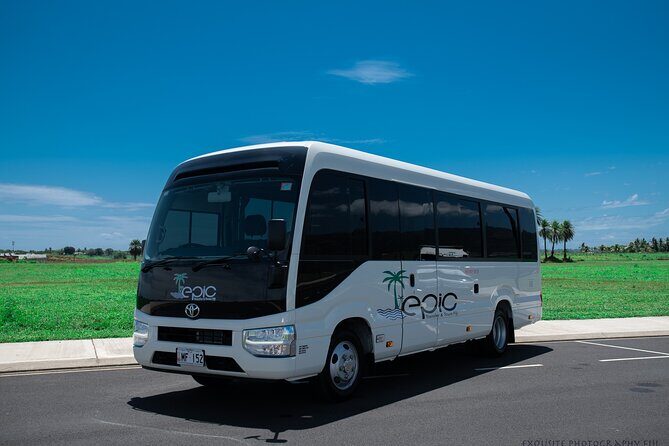 Private Arrival Transfer - Nadi Airport to Hotel - Why Choose this Private Transfer?