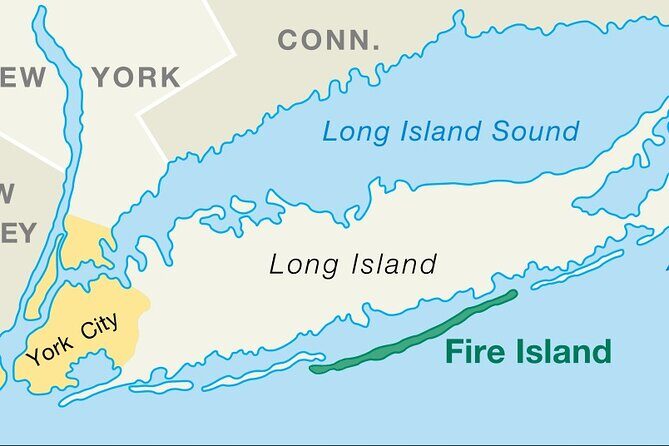 Private Arrival Transfer: NYC Airports (JFK) (LGA) to Long Island - The Downsides and Things to Consider