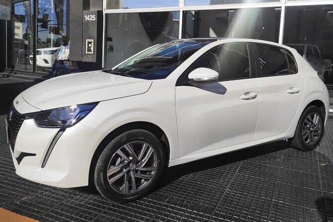 Private Arrival Transfer: Rome Fiumicino Airport to Hotel - Key Points